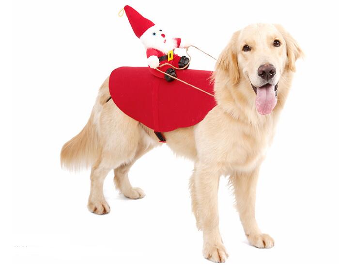 Christmas Pet Dress - Plushlegacy